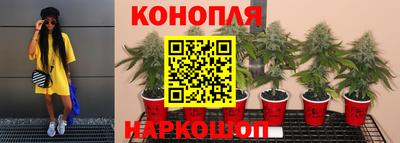 меф Бийск