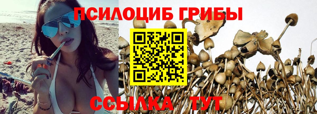 Галлюциногенные грибы Cubensis Коломна